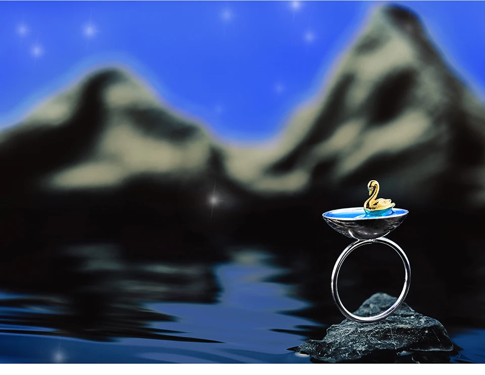 Poetic-Swan-In-The-Sea-LFJD0067_09