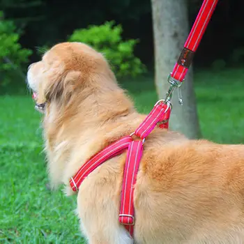 

Adeeing Pet Lead Leash with Harness for Medium Large Dogs Outdoor Walking