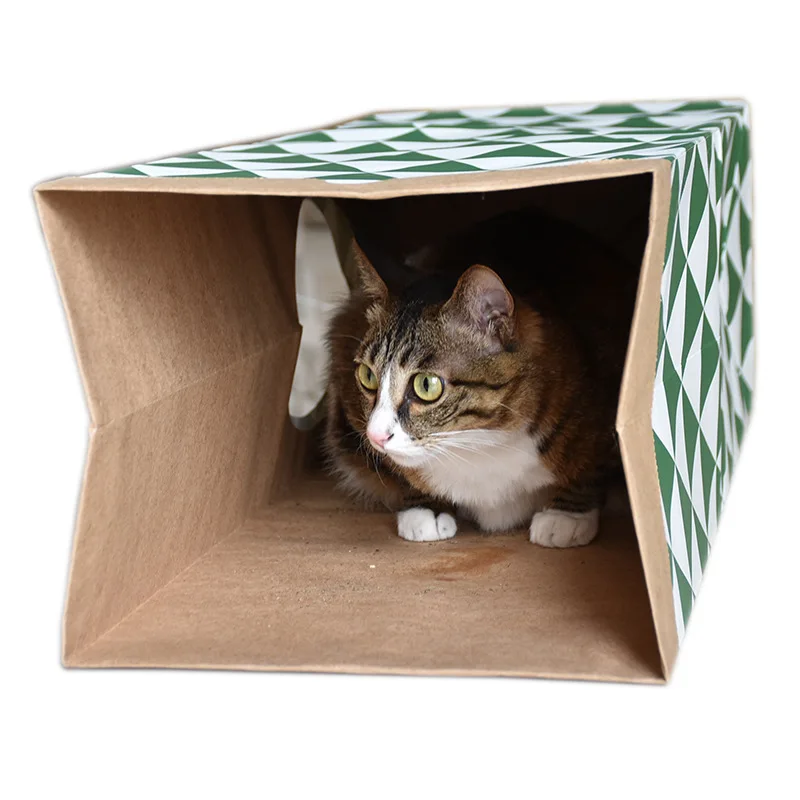 Товары для домашних животных, товары для кошек, мята, крафт-бумага, туннель, складной портативный домик для кошек, игры, отверстия для котят, забавная игрушка PT0080