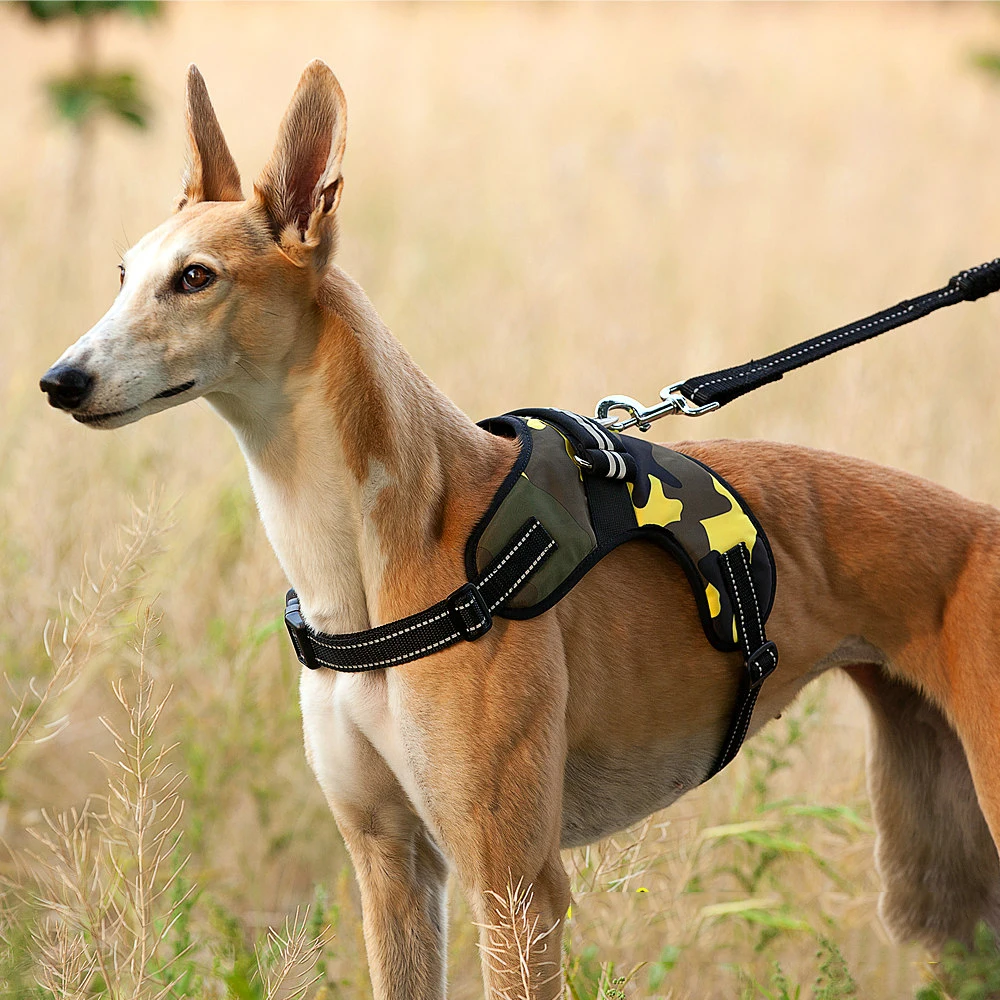 Reflective Large Dog Harness Nylon Strong Pet Training Walk Out Harness