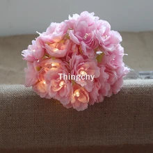 2/3/6/8 м бледно-розового цвета румяной розы Цветочная фея светодиодный Потолочные светильники Свадебные украшения украшение для девочек для домашнего декора