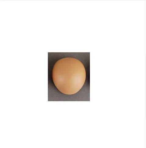 

(Do not buy this link separately)bjd 1/3 1/4 1/6 1/8 1/12 sd doll tan colour(not doll )