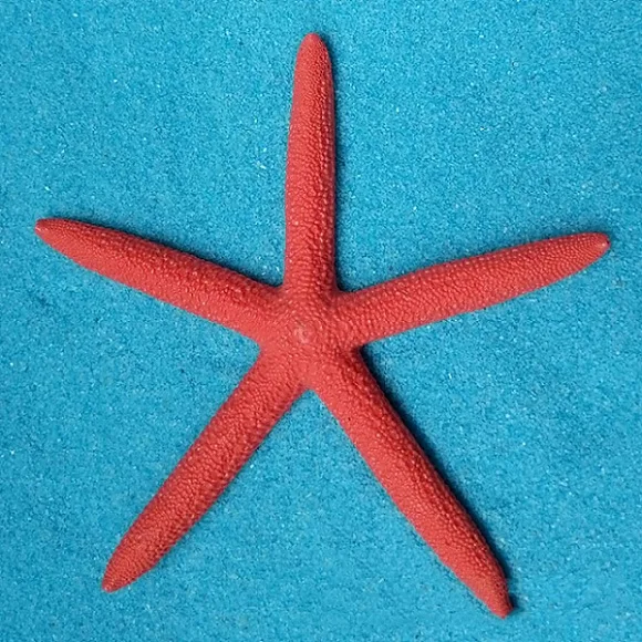 1 шт. 13 см Смола пятиконечная Морская звезда средиземноморская Морская звезда моделирование Морская звезда шестиугольная Морская звезда рыболовное украшение-сетка