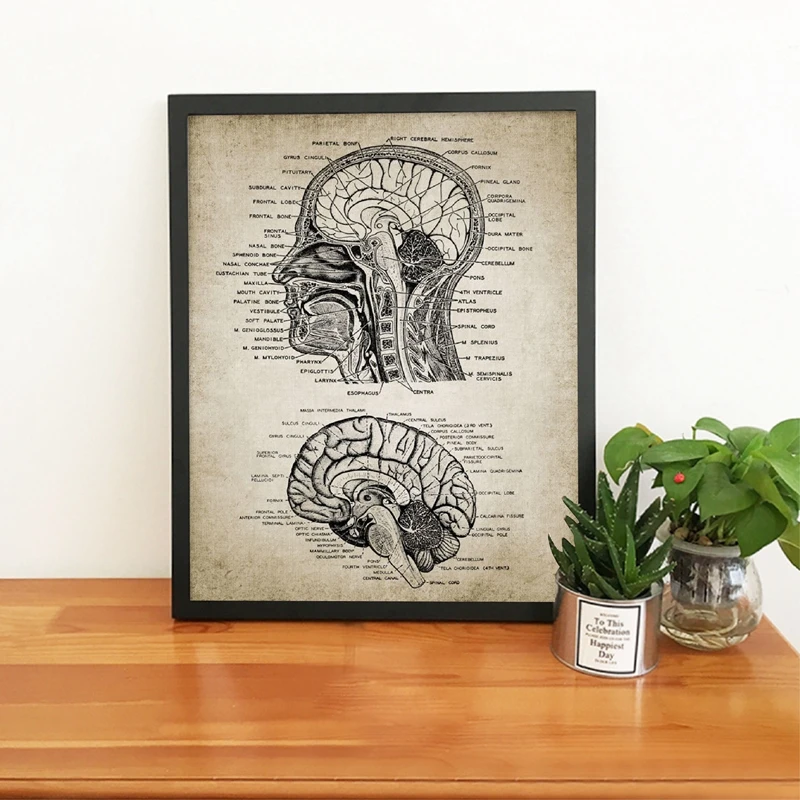 Vintage Human Head And Brain Anatomy Canvas Art Prints Poster Neuroscience Human Anatomy Painting Doctors Office Wall Art Decor