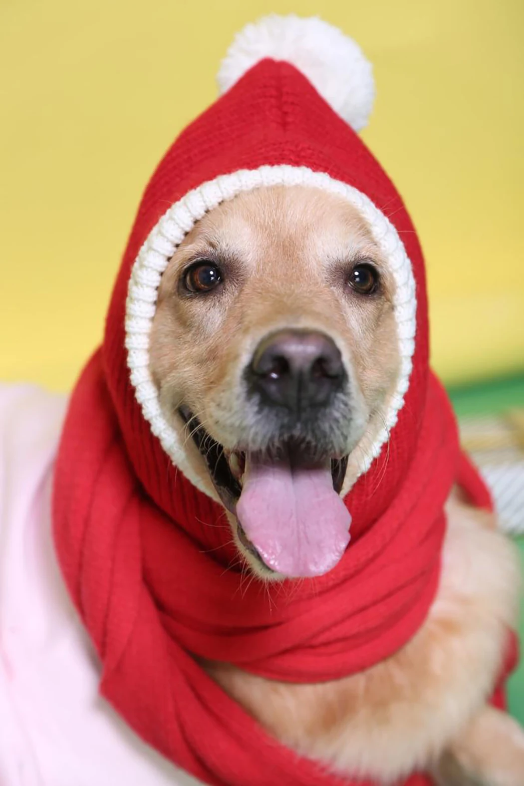 Knitted Pet Hat Warm Comfortable Lovely Dog Hats For Pets Cats Winter Warm Knitting Dog Cap Dog Beanie For Puppies Kittens