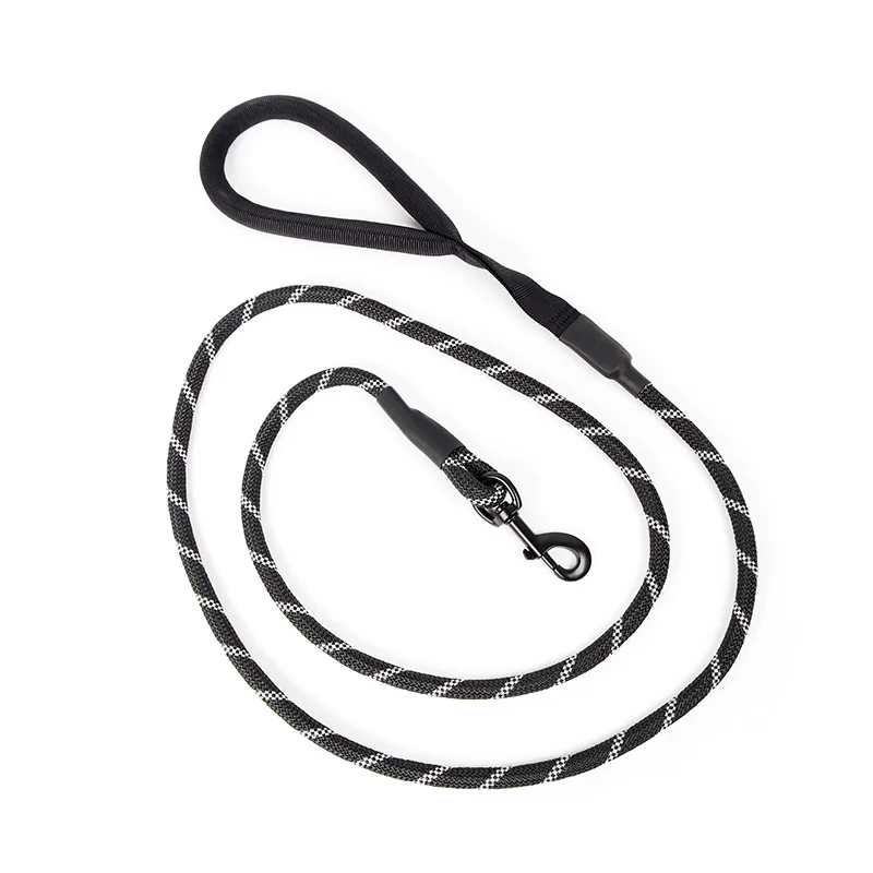 dog leash 92184 (10)