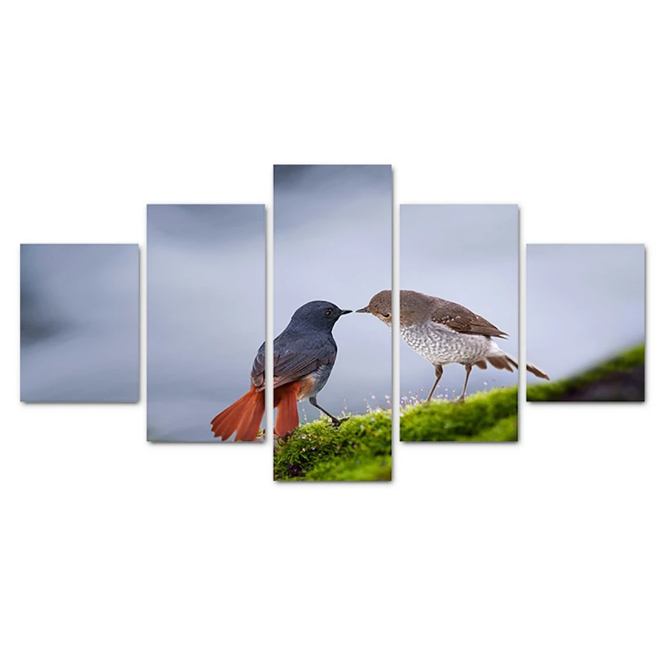 Decoration-Posters-Frame-Living-Room-Wall-Art-5-Piece-Pcs-Cute-Bird-Animal-Modern-Painting-On (2)