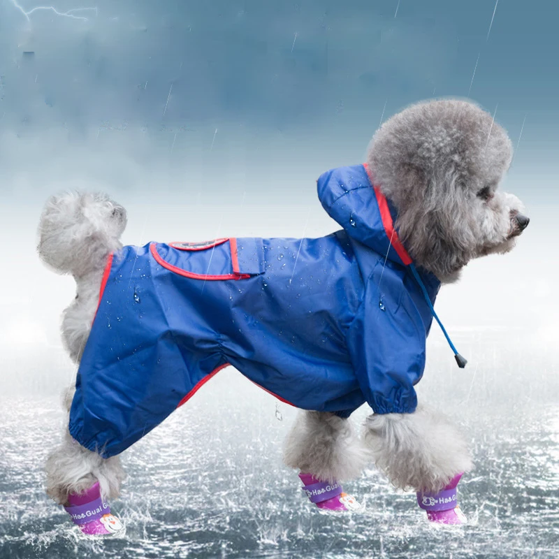 Pet Supplies For Small Dogs Pet Supplies For Small Dogs