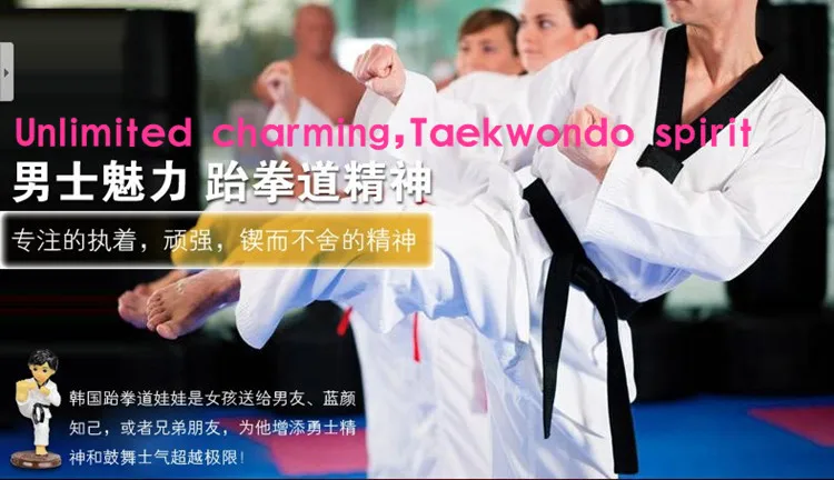 Kerea Taekwondo 5