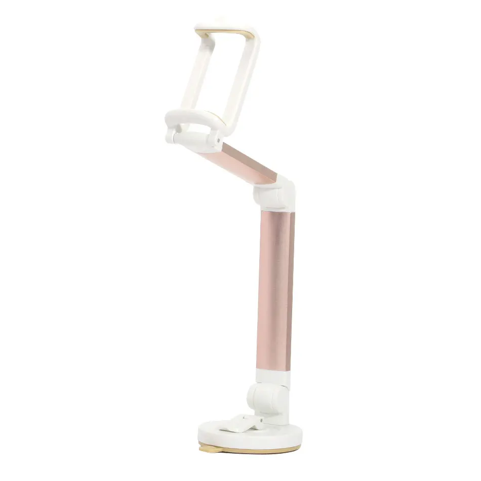 Suction Cup Car Mount Holder (10)