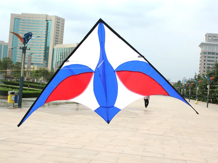 Новое поступление 2,5 м Мощный воздушный змей в виде лебедя Высококачественный зонтик ткань и смола стержень с летающими инструментами