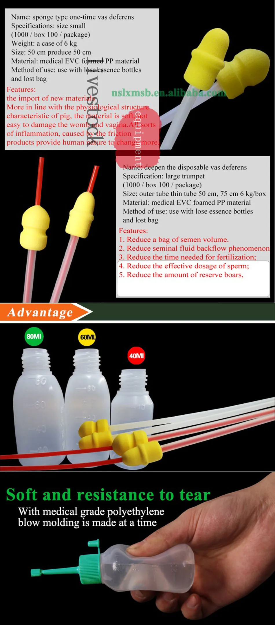 Pig Artificial Insemination Vas Deferens 01