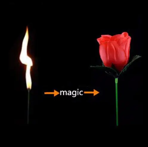 

Torch To Flower - Torch To Rose - Fire Magic Trick Flame Appearing Flower Professional Magician Bar Illusion Props