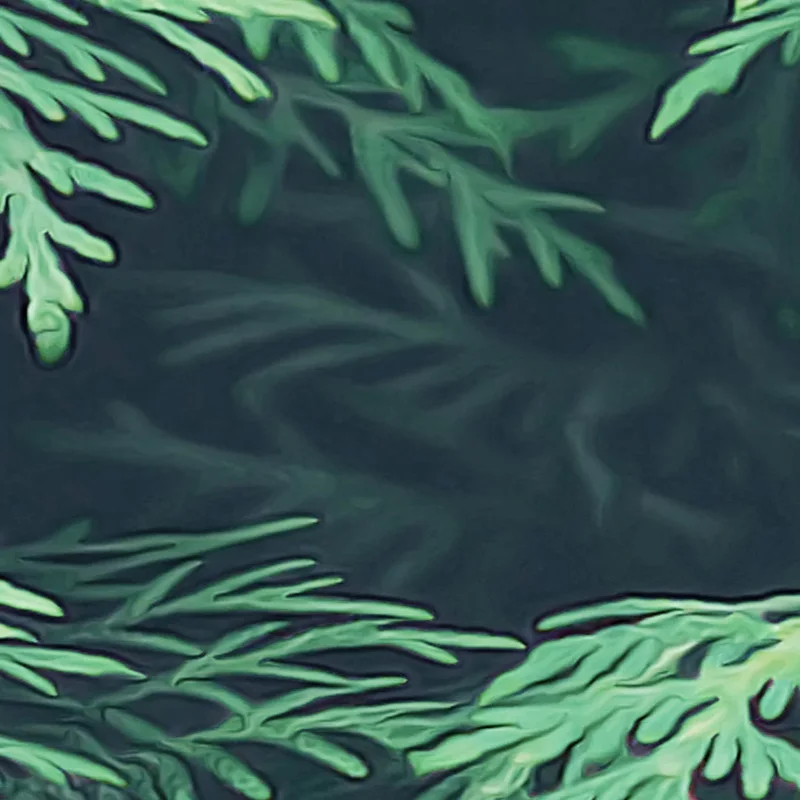 Домашний декор обои Современная мода тропические зеленые листья растений фото настенные фрески Гостиная Кабинет фон настенная 3D живопись