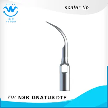 

5pcs GD2, dental ultrasonic scaler scaling tip compatible with Satelec Woodpecker-DTE scaler machine