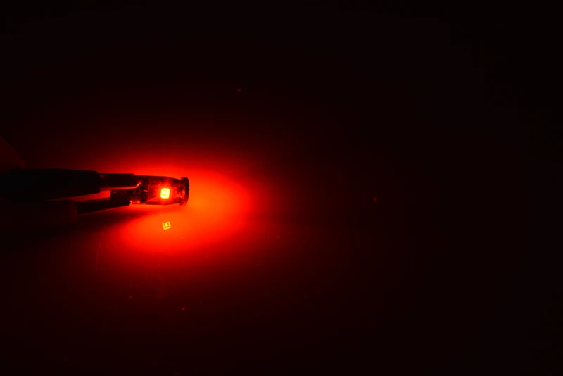 DSC_8388