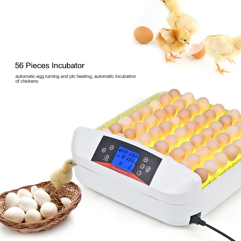 56 Eggs Incubator Full-automatic Hatcher for Chicken Duck Turtle Bird Incubation