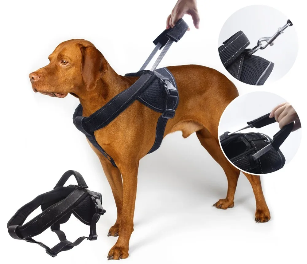 heavy duty dog collars and leashes