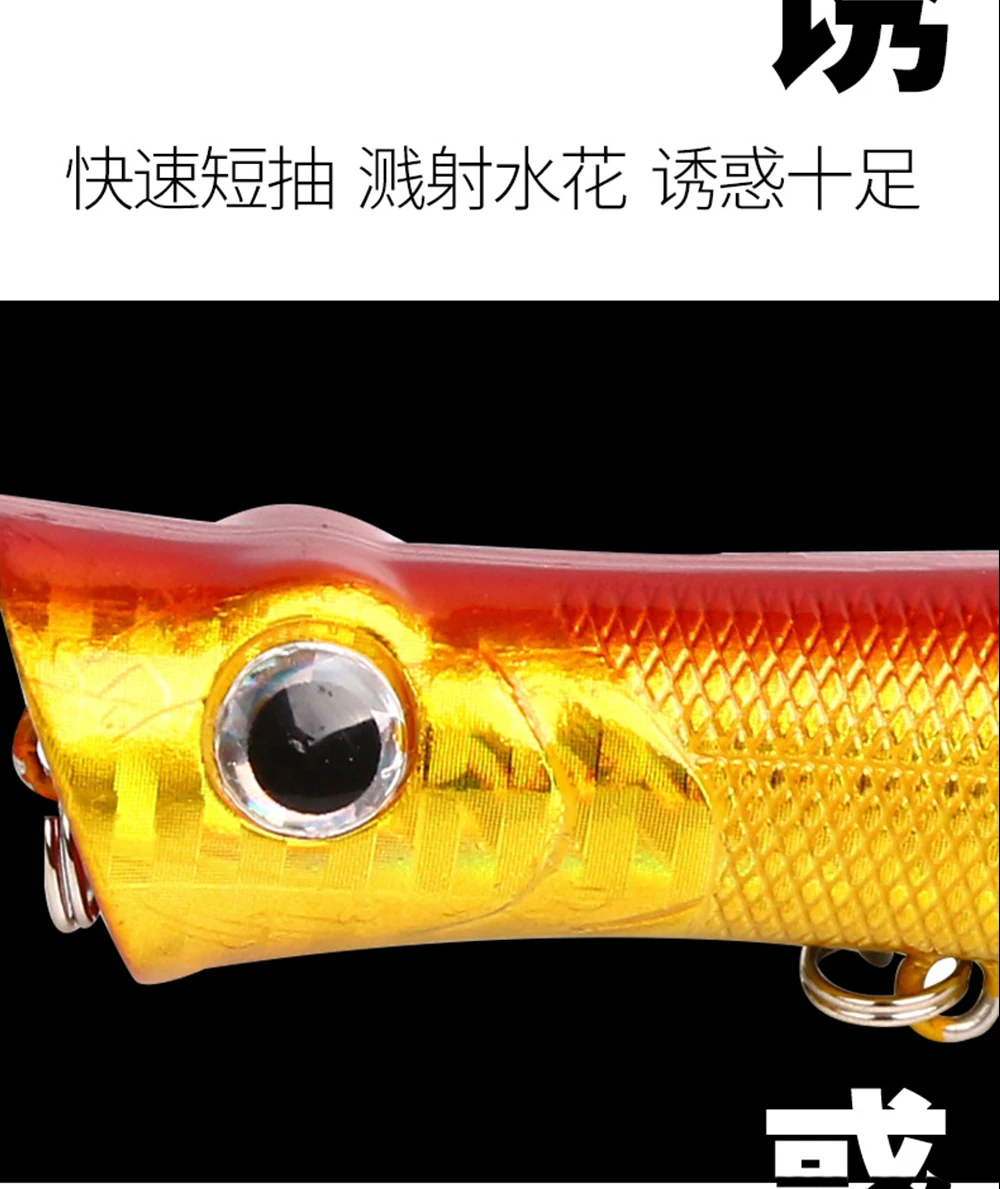 10g_06