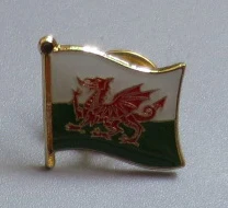 Lapel Pin Нашивки с национальным флагом и Металлический Нагрудный значок с флагом WALES - Цвет: Lapel Pin