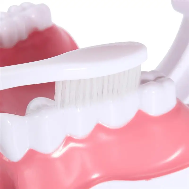 Демо/может тянуть зубы/модель рта научить детей чистить зубы модель с teethbrush
