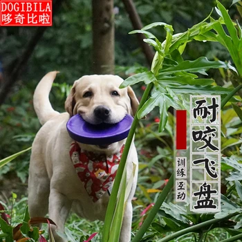 

Pet flying discs Toys Bite-Resistant Molars Interactive Labrador Golden Edge Herding Professional Training Dog flying discs