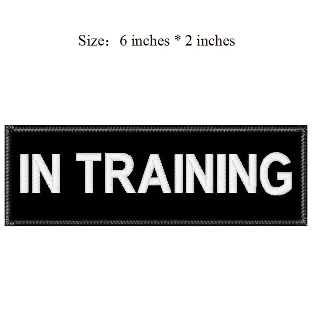 IN TRAINING -2