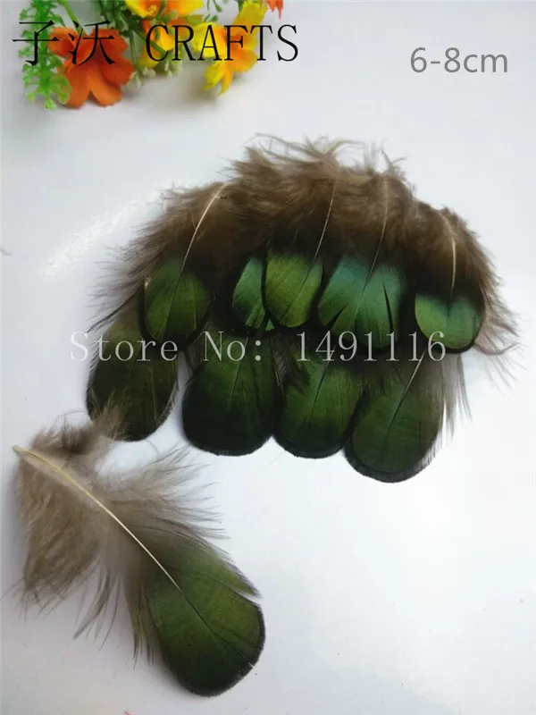 Разнообразие птиц! 10/20/100/500 шт./упаковка натуральные фазаньи|natural pheasant feathers|pheasant