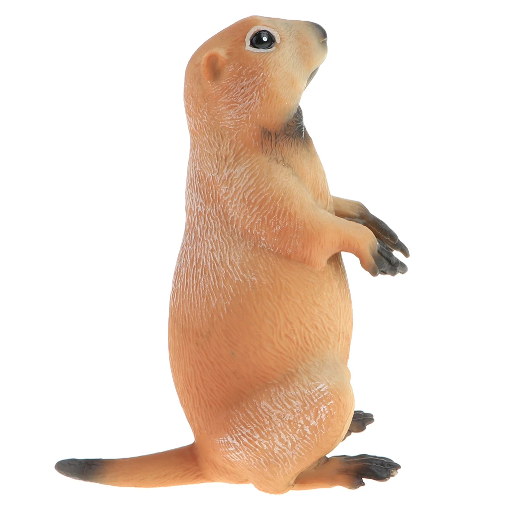 2pcs Simulation Wildlife Animal Model Figurine Kids Science & Nature Toy Collection Home Decoration Party Favors- Marmot