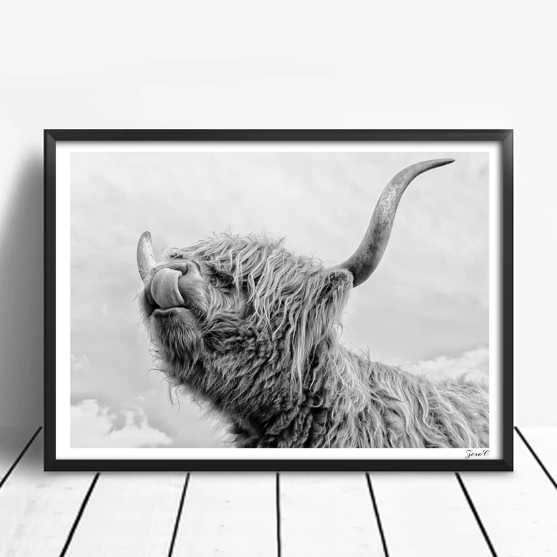 Highland крупного рогатого скота плакаты и принты стены искусства Скандинавская
