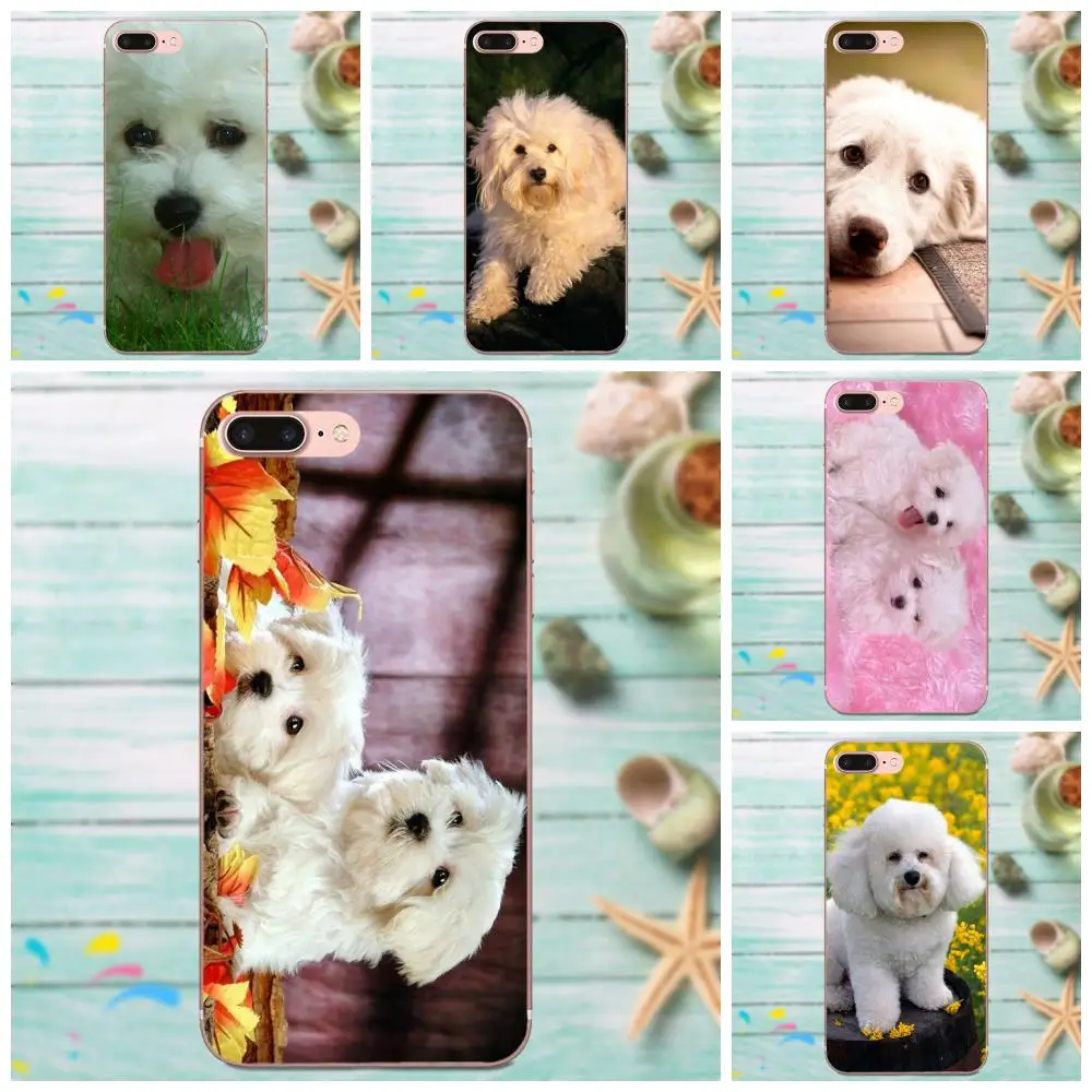Жесткий чехол для телефона Bichon Frise Dog Для Galaxy J1 J2 J3 J330 J4 J5 J6 J7 J730 J8 2015 2016 2017 2018 mini