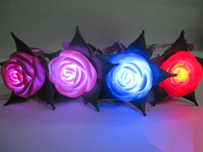 rose flower (3)