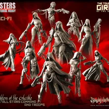 [Loong Way Miniatures] Бушующие герои дочери тигель пакет(сестры SF) 35 мм Полимерная миниатюра