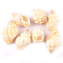 Uds 3-5cm conchas naturales para botella de vidrio espiral Shell hecho a mano DIY Scrapbooking artesanía, decoración para el hogar, accesorios, TR0284