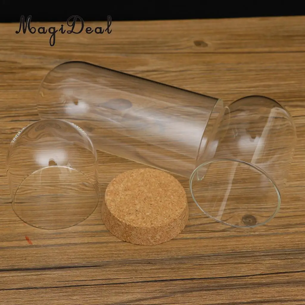 2pcs Clear Glass Display Dome Cover Cloche Bell Jar Succulent Terrariums with Wood Cork for Office Table Decor DIY