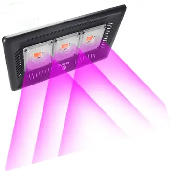 Waterproof IP67 COB Led Grow Light Full Spectrum 100W 200W 300W for Vegetable Flower Indoor Hydroponic Greenhouse Plant Lamp Waterproof IP67 COB Led Grow Light Full Spectrum 100W 200W 300W for Vegetable Flower Indoor Hydroponic Greenhouse Plant Lamp