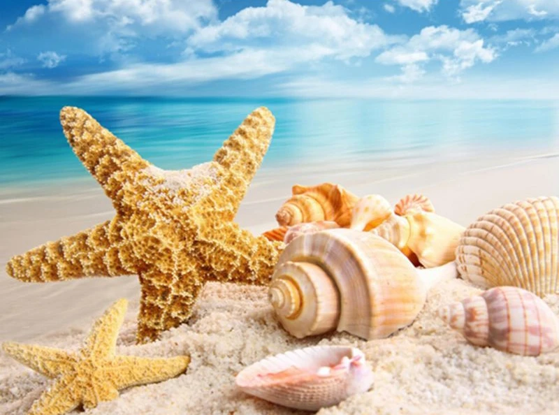 

5d diy diamond painting Scenery Starfish conch Diamond Painting Cross stitch Full drilling Home Decoration Seaside Landscape
