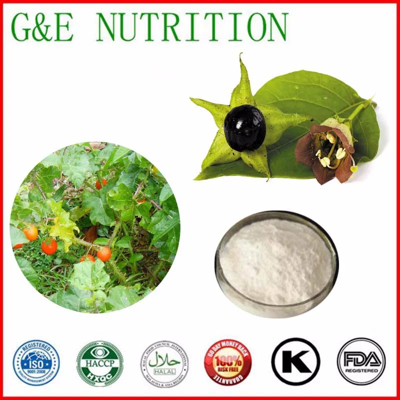 

15g Natural Atropa belladonna/ Belladone Extract with free shipping, 99% scopolamine