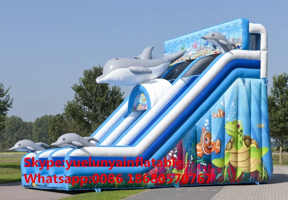 dolfijn_slide-2-940x652_