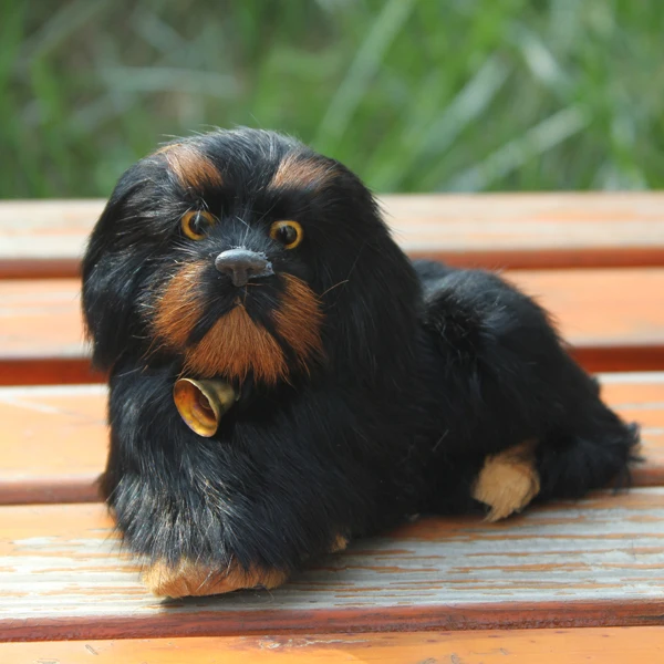 Simulasi Manusia Hidup Ditiru Model Anjing Chow Chow Anjing Hias