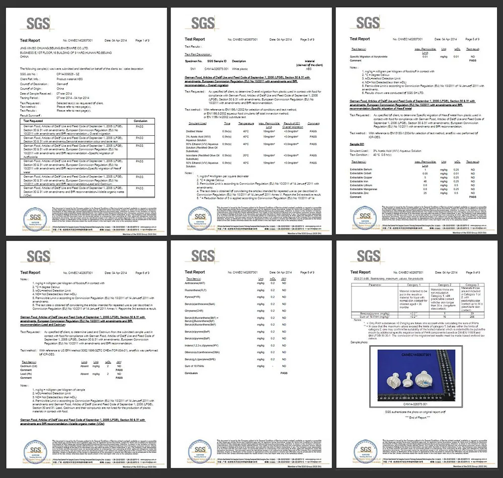 test report