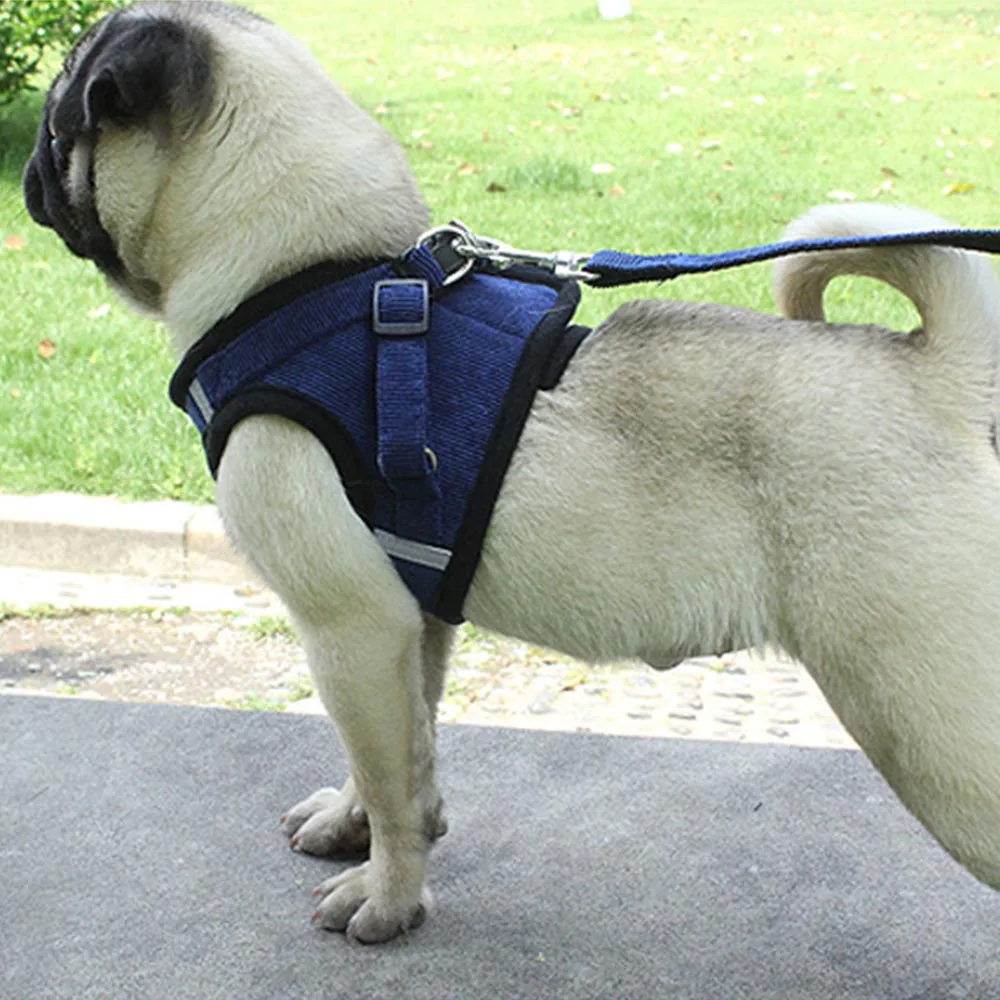 Dog Harness Leash Set Adjustable Breathable Dog Cat Collar Vest Harness for Dog Puppy Pet Chihuahua Chest Strap Dog Accessories Dog Harness Leash Set Adjustable Breathable Dog Cat Collar Vest Harness for Dog Puppy Pet Chihuahua Chest Strap Dog Accessories