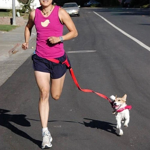 

Running Dog Pet Products Hauling Cable Leads Collars Traction Belt Dog Rope