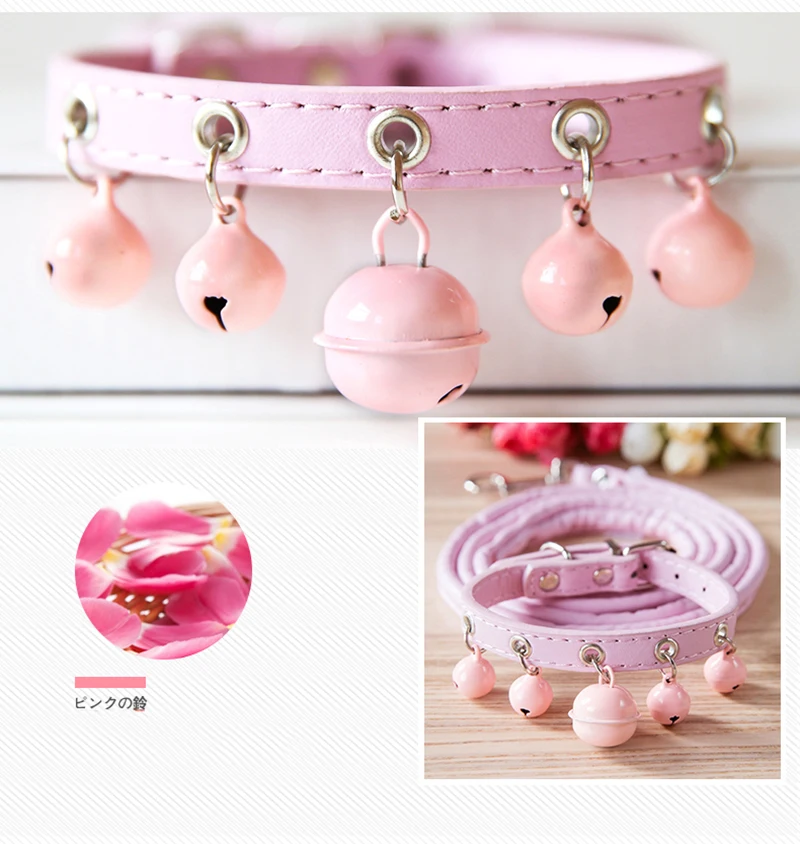 dog chain collar (8)