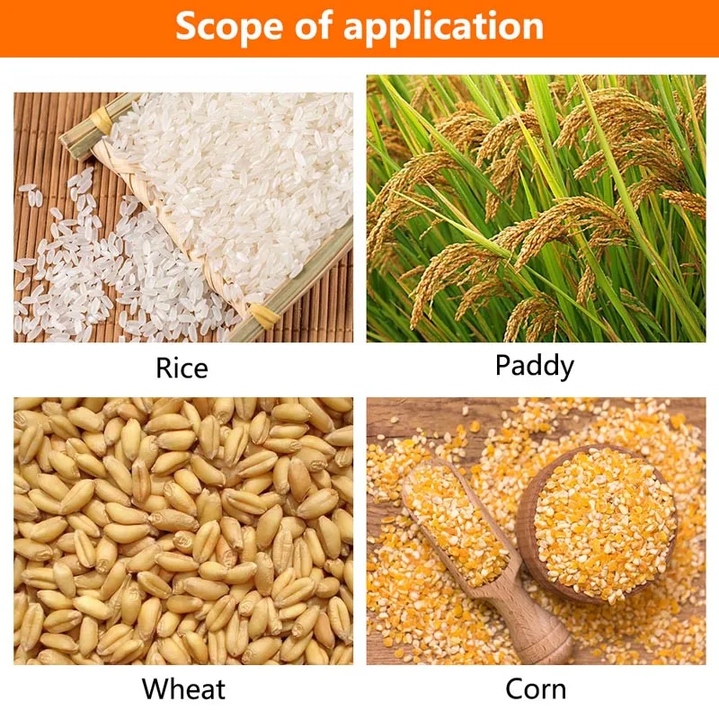 4413494060_428250789