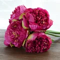 Rose red
