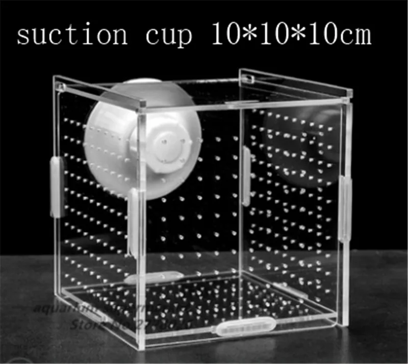 mtxx01_