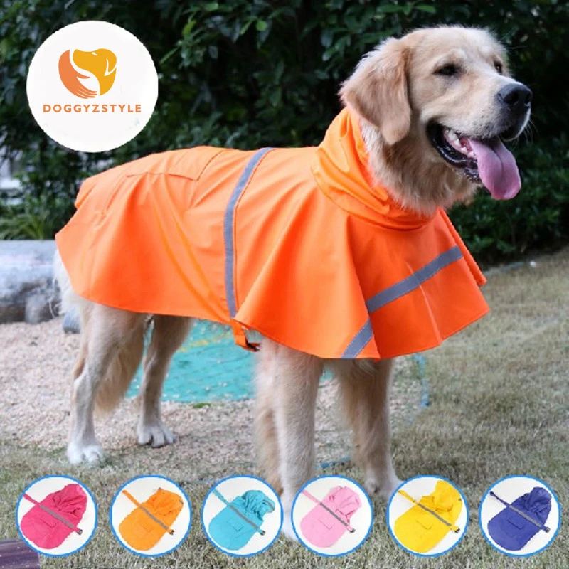 Labrador retriever clothes Clearance
