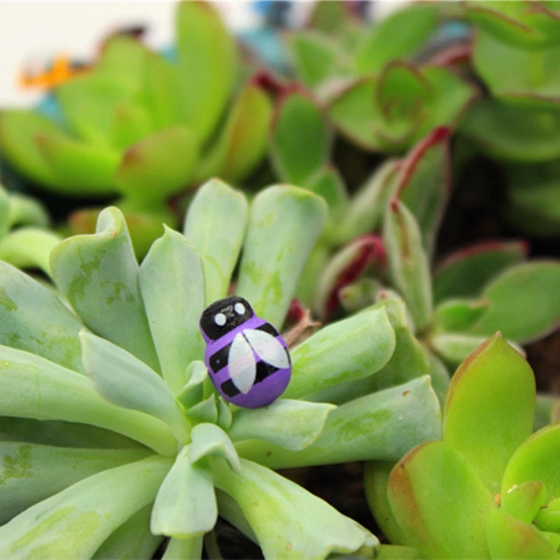 4008128070_857642845