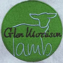 Вышитая аппликация на заказ полное наполнение зеленый круг Логотип для одежда из железа на патч